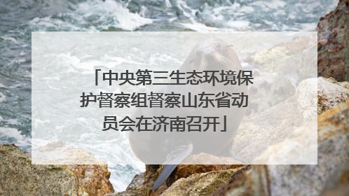 中央第三生态环境保护督察组督察山东省动员会在济南召开